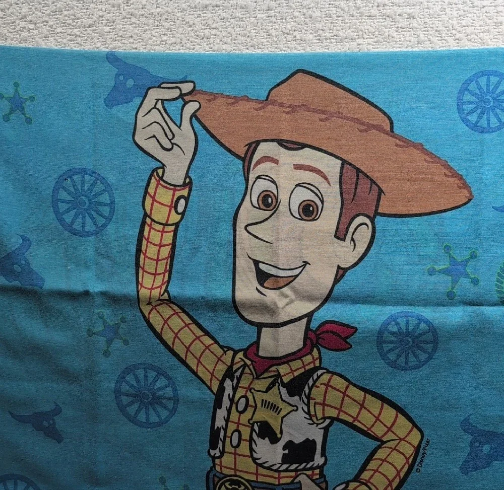 Toy Story Pillow Case Fabric 31x20